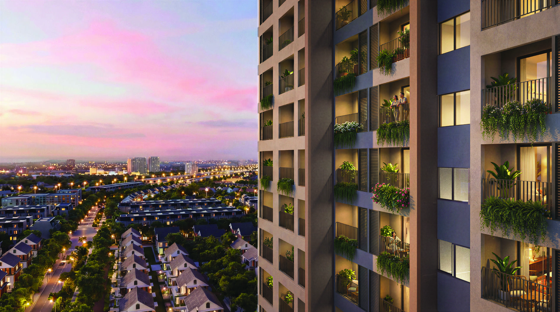 The Flame Vine toàn cảnh